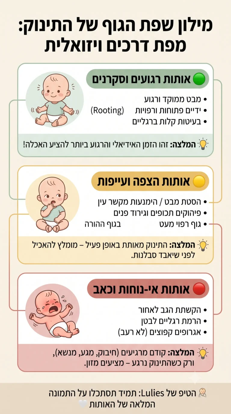 אינפוגרפיה המציגה מילון ויזואלי של שפת הגוף של התינוק והמשמעות של כל תנועה.